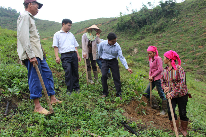 Cán bộ Đội lâm trường Tu Lý (Đà Bắc, Hòa Bình) hướng dẫn người dân thực hiện mô hình thâm canh rừng. (ảnh tư liệu)