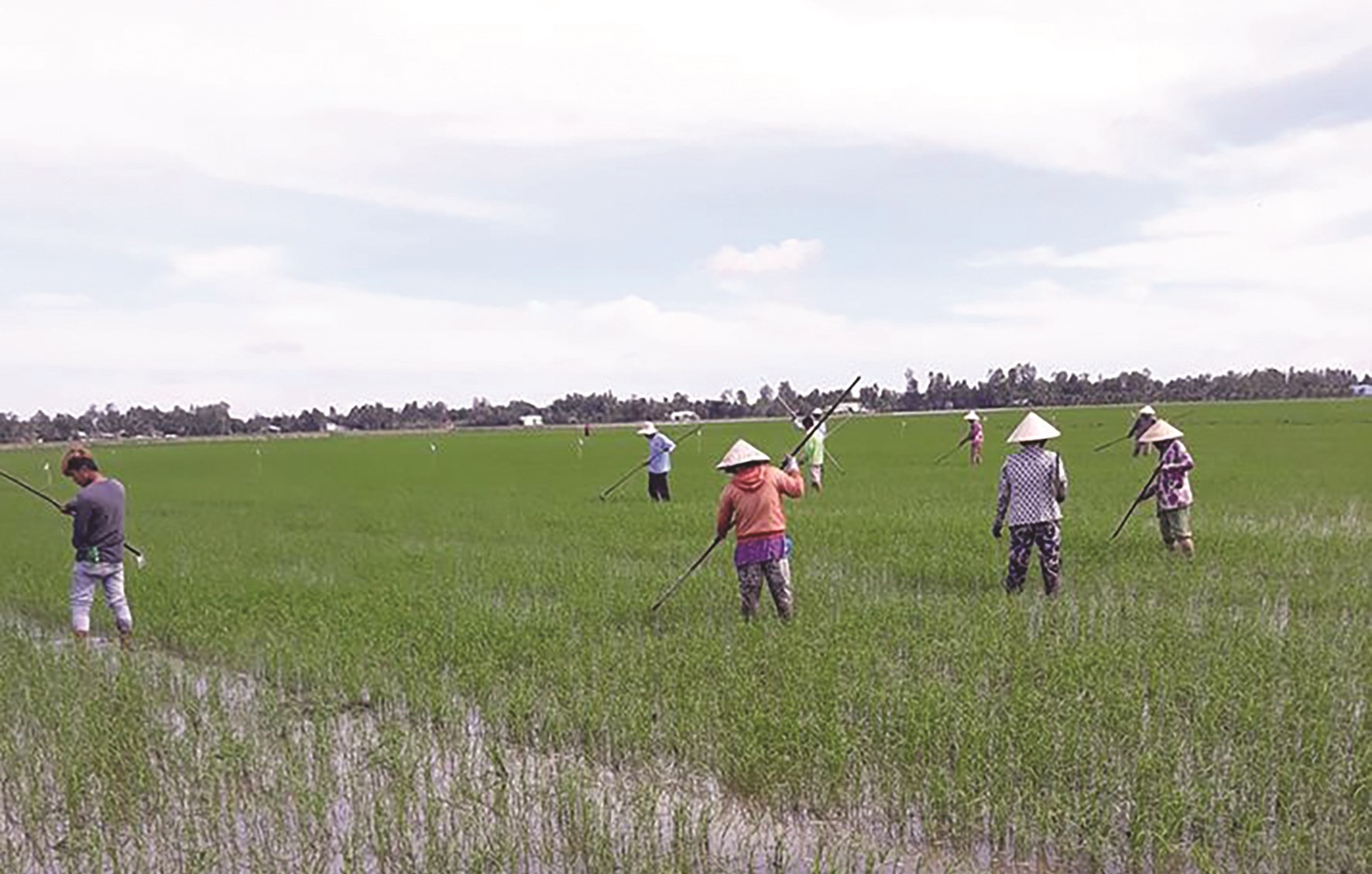 Người nông dân Vĩnh Phúc tích cực tham gia phong trào vì một nền nông nghiệp an toàn, bền vững; môi trường nông thôn xanh- sạch- đẹp