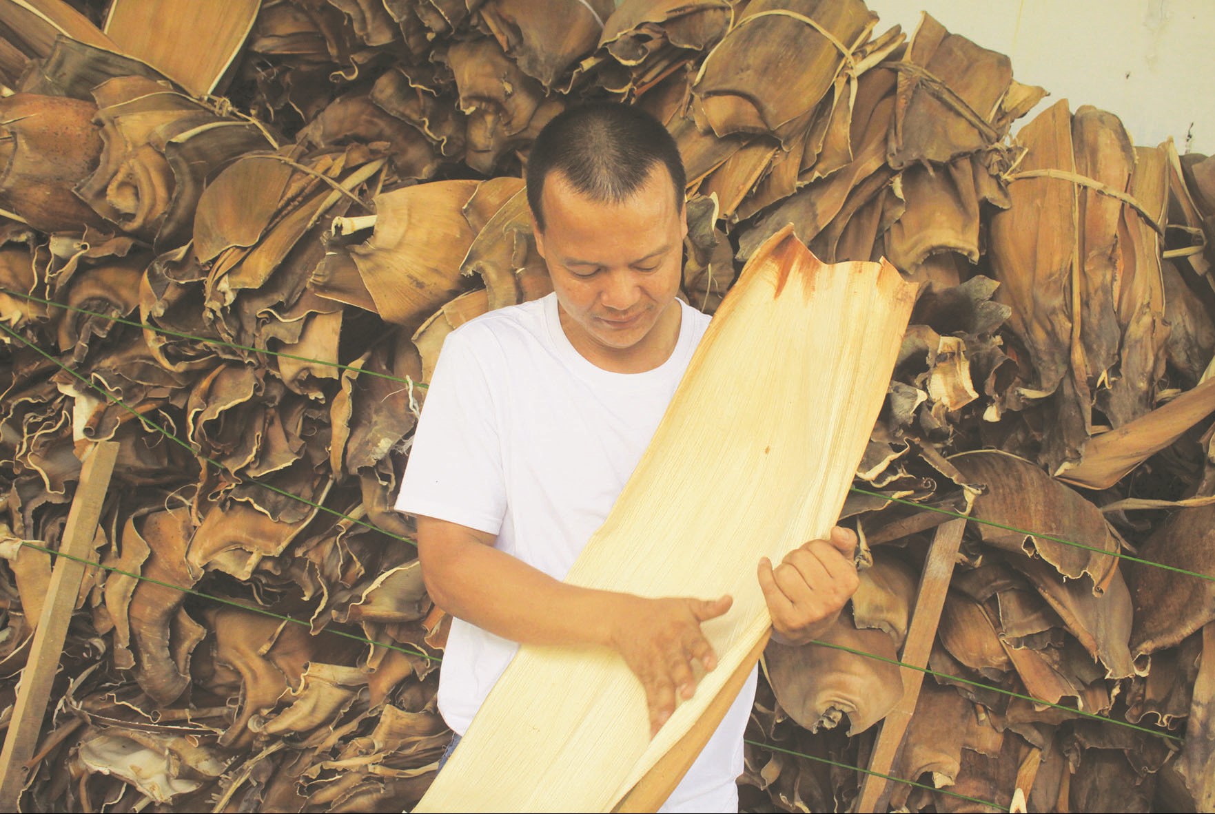  Anh Nguyễn Văn Tuyến trong xưởng thu mua mo cau của gia đình. 
