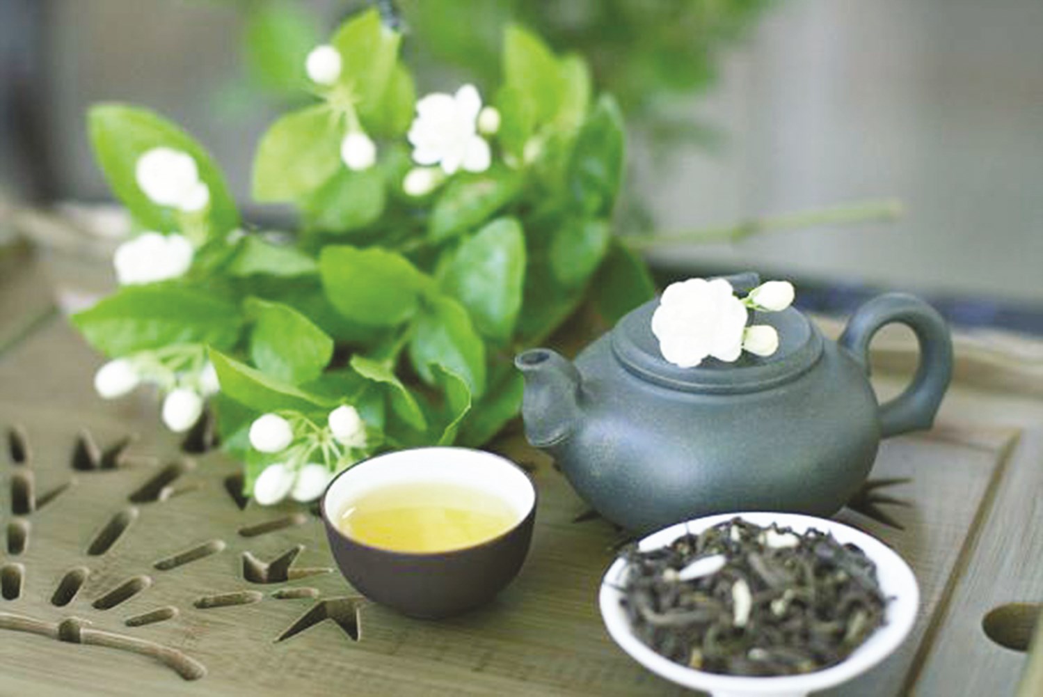 Hướng dẫn cách pha trà hoa nhài, cách uớp trà hoa nhài khô với trà bắc ngon đúng điệu và bảo quản tr
