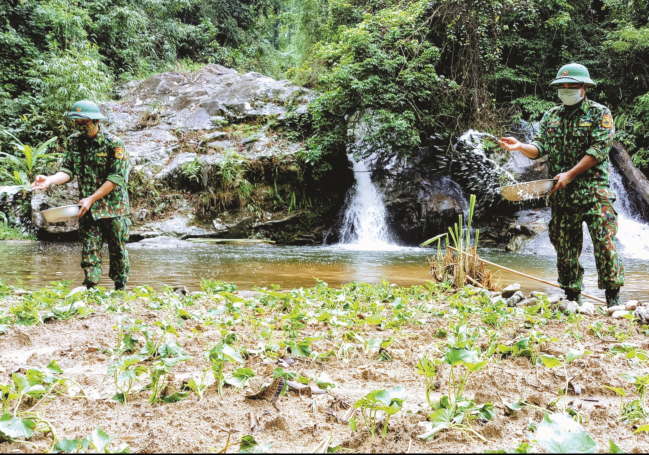 Các chiến sĩ BĐBP Quảng Nam chăm sóc vườn rau ngay trên chốt kiểm soát nơi biên giới Việt - Lào