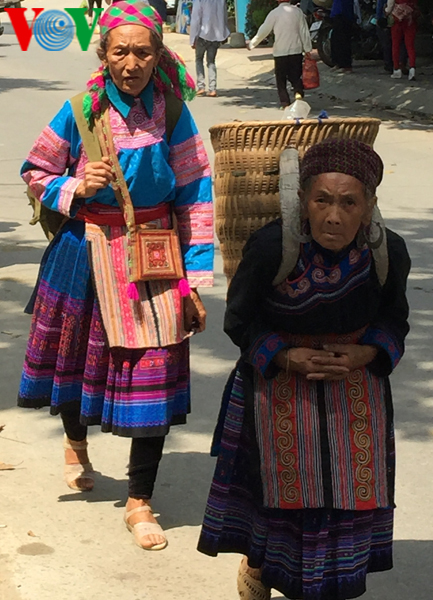 Lù cở gắn bó cả đời với người phụ nữ Mông. Ảnh: BP