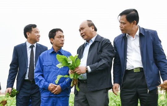 Thủ tướng Nguyễn Xuân Phúc nhận định 9 tháng đầu năm, ngành nông nghiệp đã phát huy vai trò bệ đỡ của nền kinh tế, bảo đảm an ninh lương thực quốc gia. - Ảnh: VGP