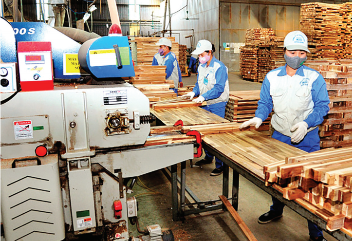 Dây chuyền chế biến gỗ của Công ty cổ phần Woodsland Tuyên Quang đã sản xuất được 680.000 m3/năm