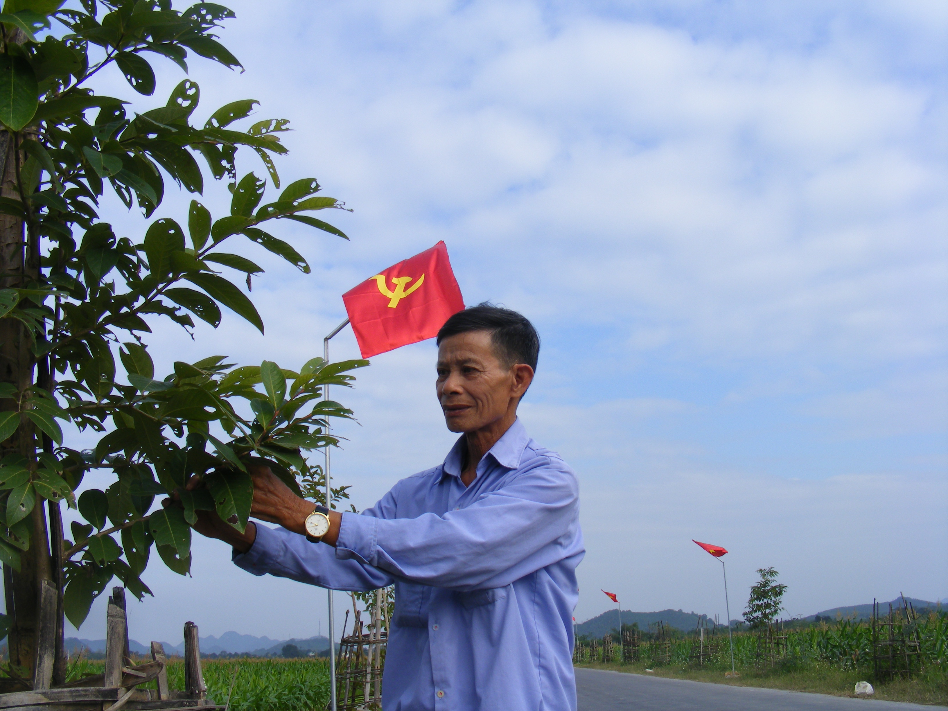 Ông Quán Vy Chung bên hàng cây bằng lăng vừa mới được trồng trên con đường dẫn vào bản