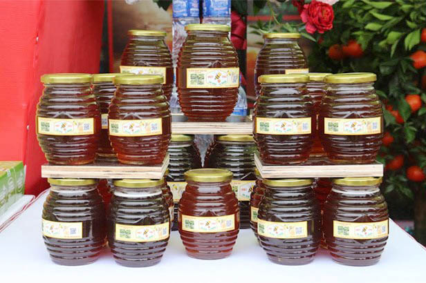 Sản phẩm mật ong đa hoa tự nhiên của HTX Nông nghiệp Minh Bảo (Thành phố Yên Bái) là sản phẩm OCOP đạt tiêu chuẩn 3 sao