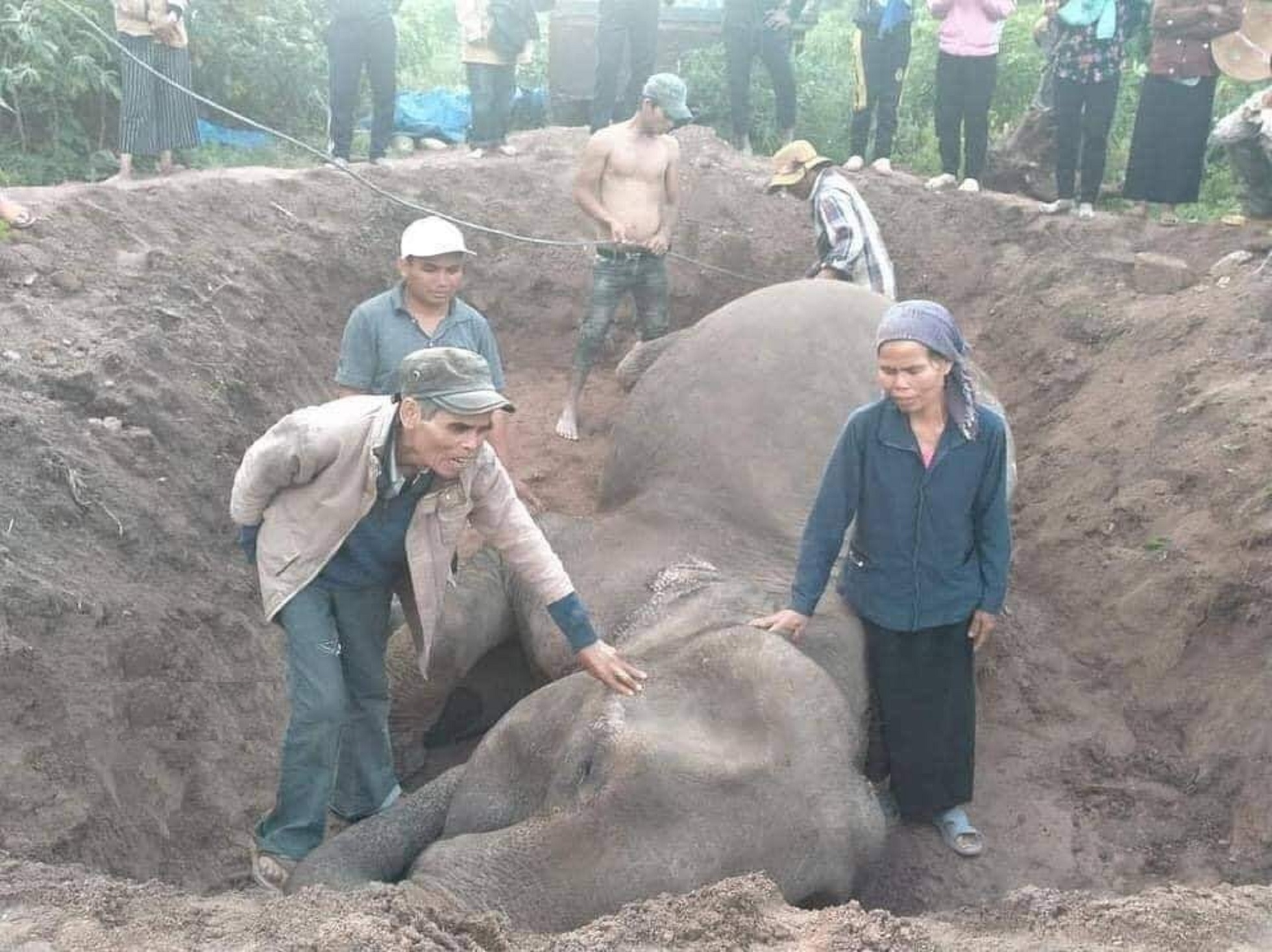 Người làng Chư Mố tổ chức an táng cho voi Yẵ Tao. (ảnh Văn Ngọc)