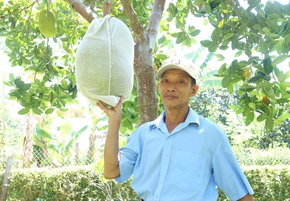 Lão nông Nguyễn Thành Hạt (SN 1966) đã thoát nghèo thành công nhờ áp dụng mô hình trồng cây ăn quả