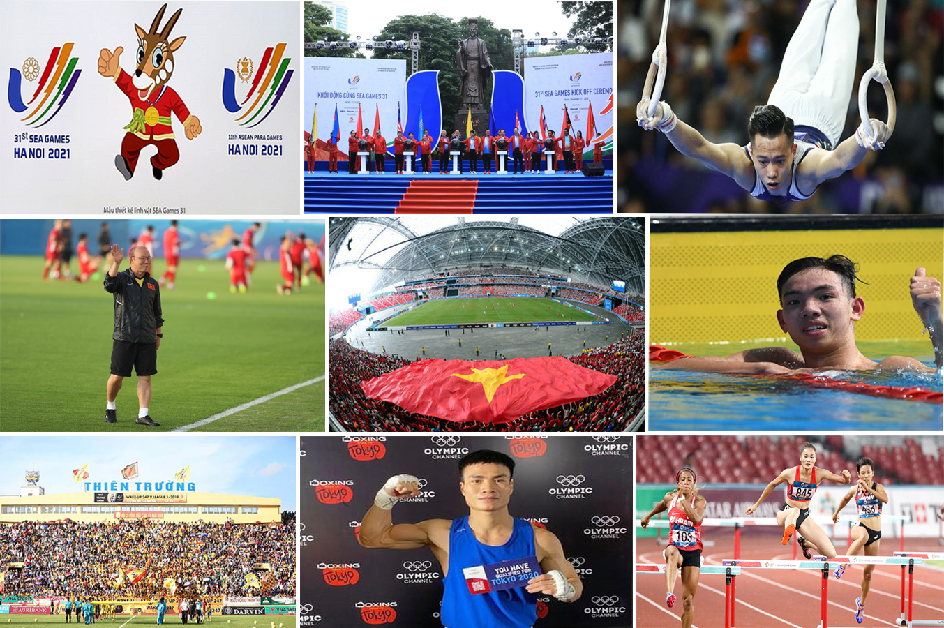Dấu ấn Thể thao Việt Nam 2020