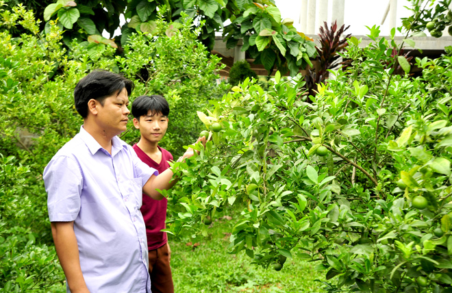 Với những mô hình hỗ trợ cây, con phù hợp, đồng bào DTTS trên địa bàn tỉnh Tuyên Quang có nhiều cơ hội vươn lên thoát nghèo.