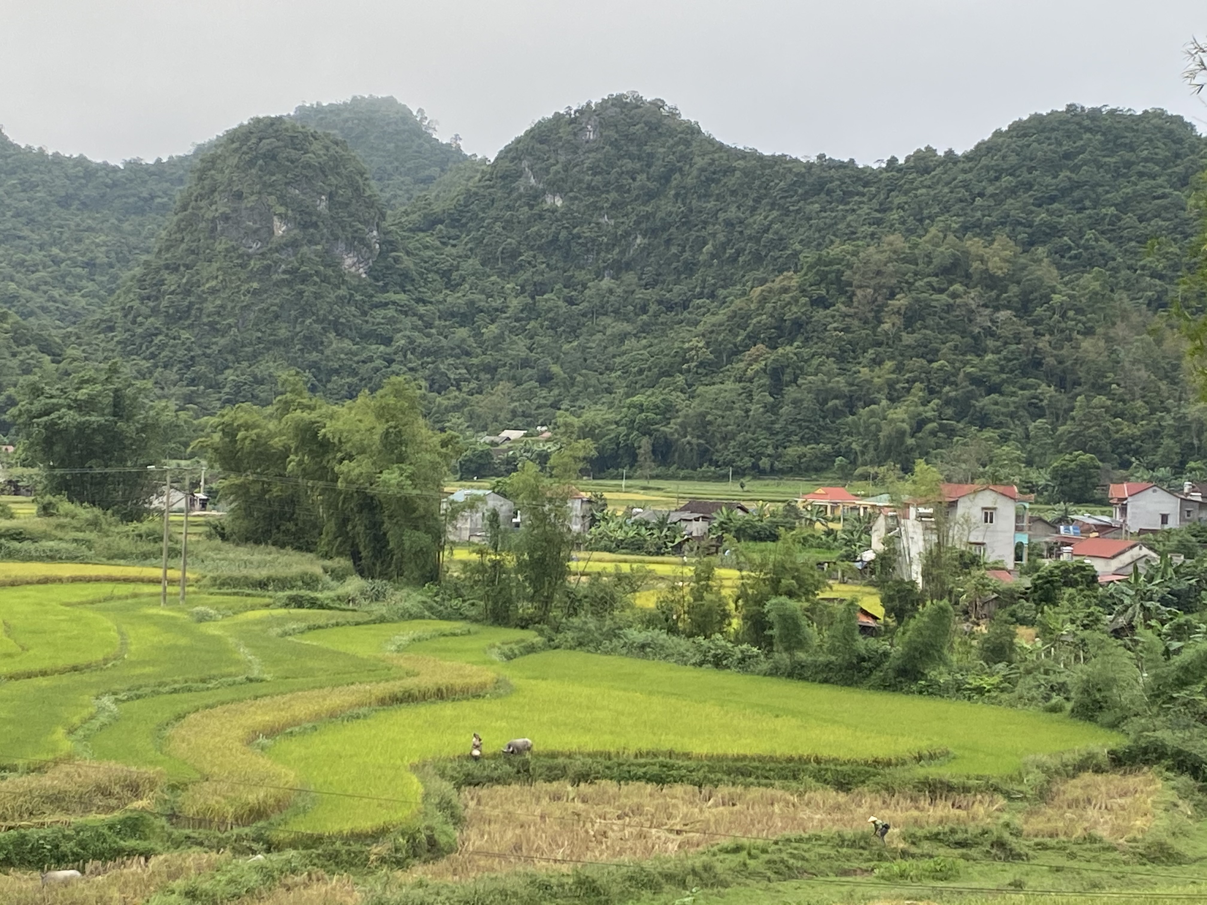 Nhờ thực hiện có hiệu quả Chương trình 135, diện mạo nông thôn, miền núi ở Hà Quảng đã có nét khởi sắc.