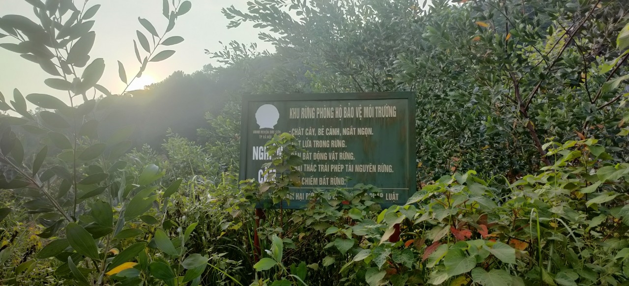 Biển báo cấm xâm hại rừng tại khu vực hồ Đầm Đò.