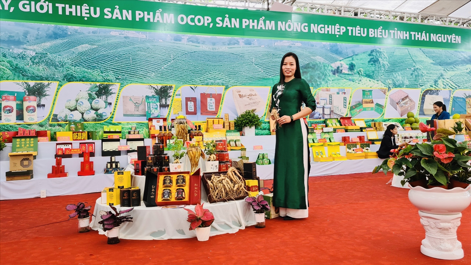 Chị Son Hằng bên các sản phẩm từ Sâm Bố Chính tại gian hàng trưng bày, giới thiệu sản phẩm OCOP, nông nghiệp tiêu biểu tỉnh Thái Nguyên.