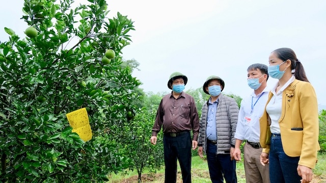 Nông dân xã Khánh Thượng (huyện Ba Vì) thực hiện nghiêm công tác phòng chống dịch trong lao động sản xuất