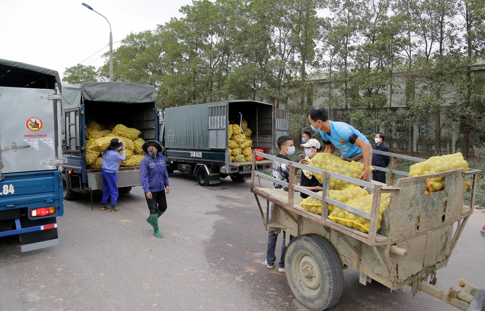 Nông sản tại tỉnh Quảng Ninh được nhiều đơn vị trên địa bàn tỉnh hỗ trợ tiêu thụ, giúp người nông dân thu hồi vốn, tái sản xuất nông nghiệp.