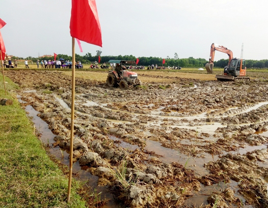 HTX Nông nghiệp và Dịch vụ tổng hợp Bắc Sơn thuê gần 28ha đất của 154 hộ dân ở Lưu Vĩnh Sơn huyện Thạch Hà (Hà Tĩnh) để xây dựng cánh đồng mẫu lớn.