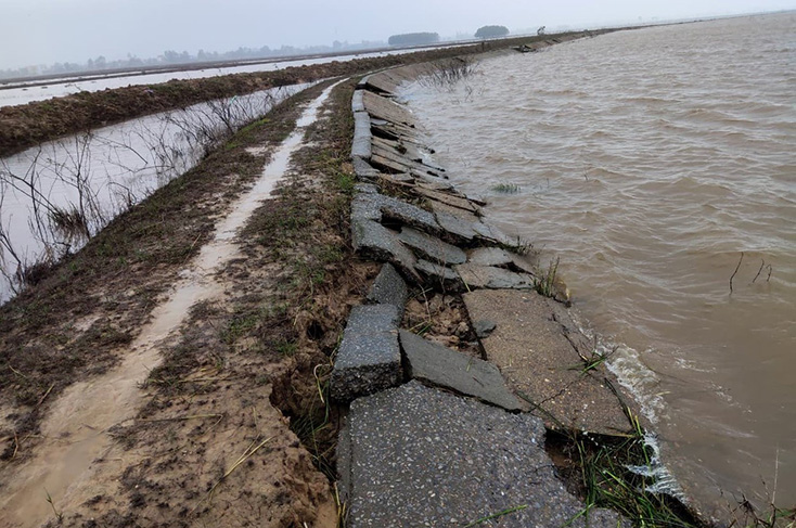 Nhiều đoạn đê tại huyện Lệ Thủy bỉ bị hư hỏng do lũ ( ảnh tư liệu)