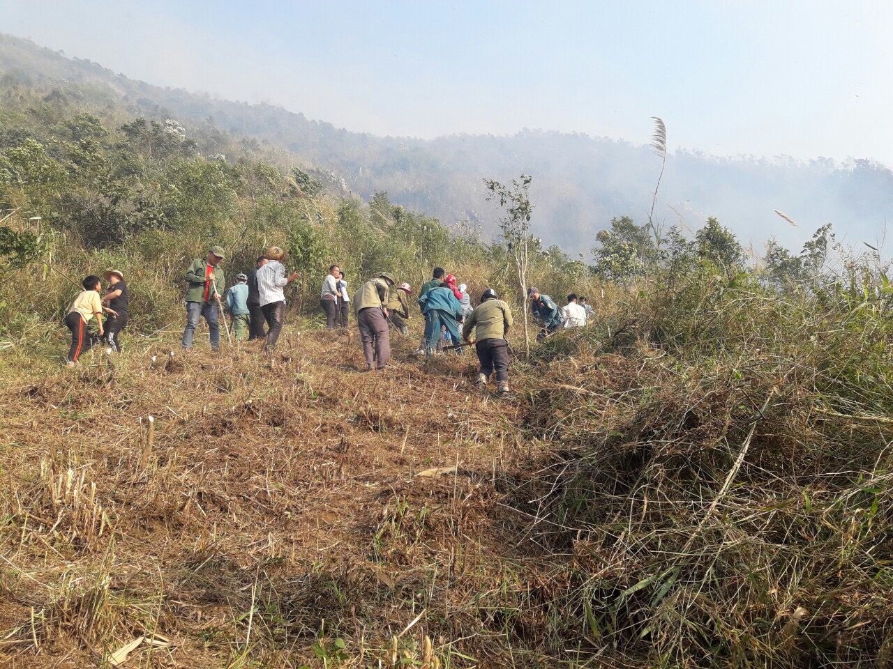 Để dập tắt đám cháy rừng tại xã Sơn Bình, tỉnh Lai Châu đã phải huy động hàng nghìn người. Trong ảnh: Người dân và lực lương chức năng phát dọn thực bì ngăn đám cháy