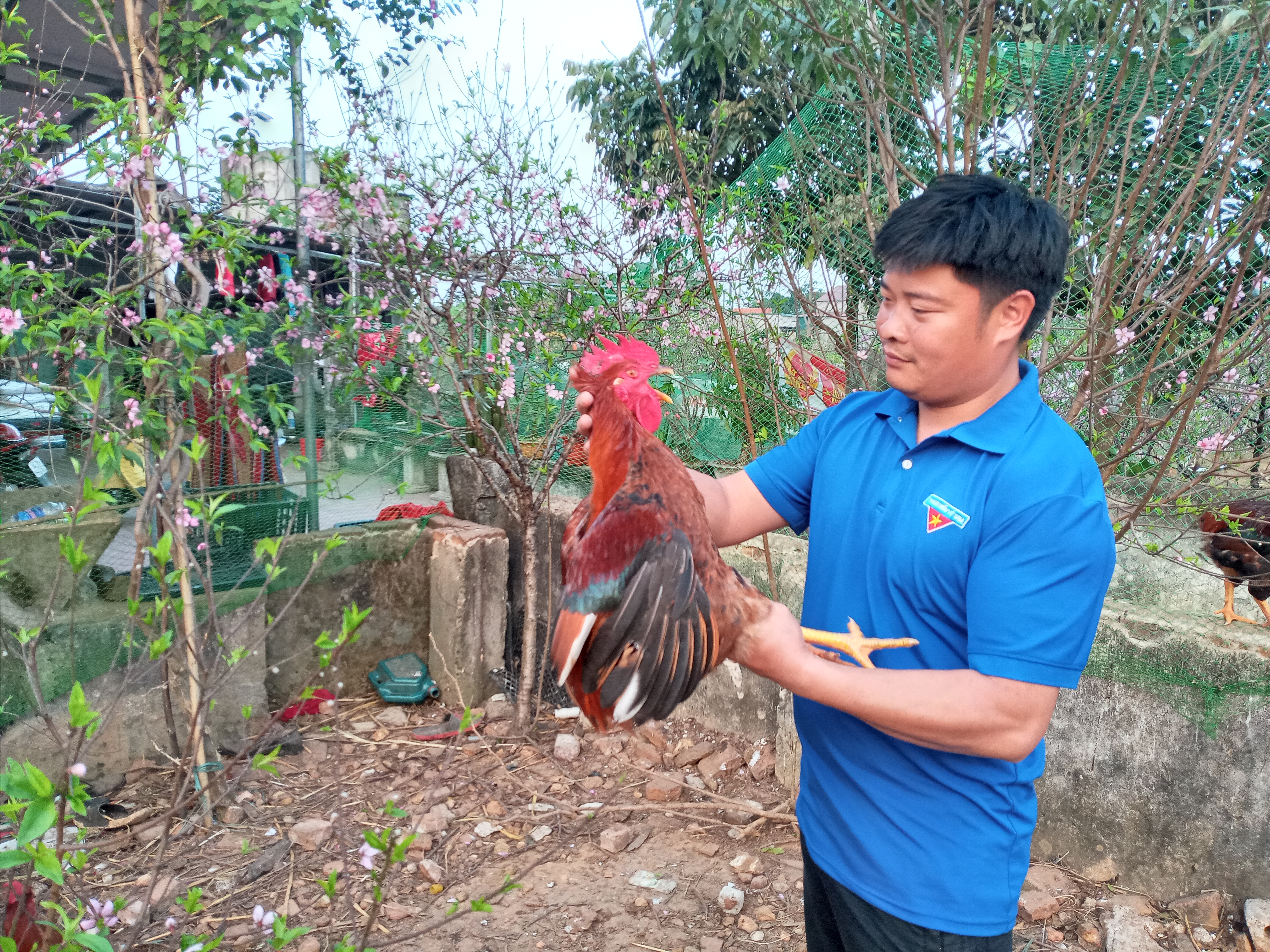 Anh Trần Mạnh Qúy đã khởi nghiệp thành công trên quê hương miền núi xứ Thanh 
