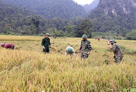 Đồng bào Chứt đã quen với việc trồng lúa nước từ sự chuyển giao của bộ đội biên phòng Cà Xèng