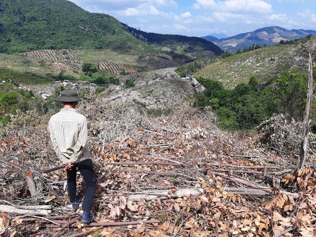 Thiếu đất sản xuất là một trong những nguyên nhân gây ra tình trạng phá rừng ở Khánh Hòa trong thời gian qua