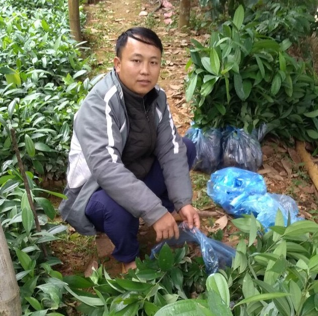 Anh Hoàng Seo Chẩn tại vườn cây của HTX nông nghiệp Bản Mế
