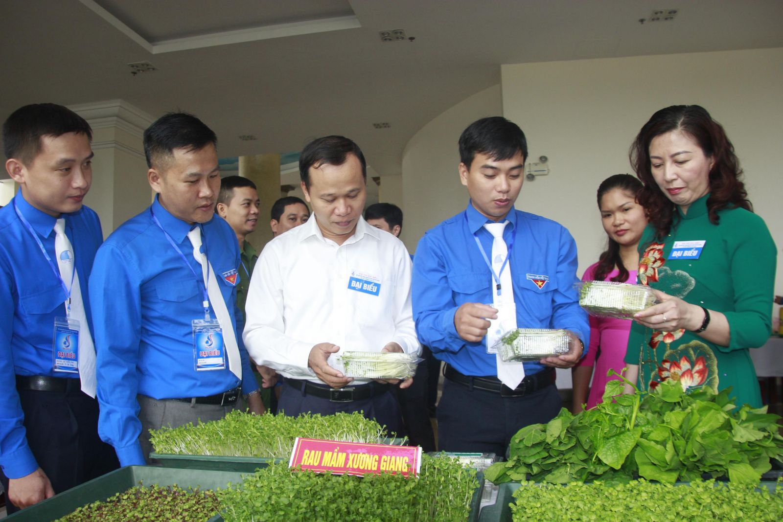 Lan tỏa các mô hình thanh niên khởi nghiệp ở Quảng Nam
