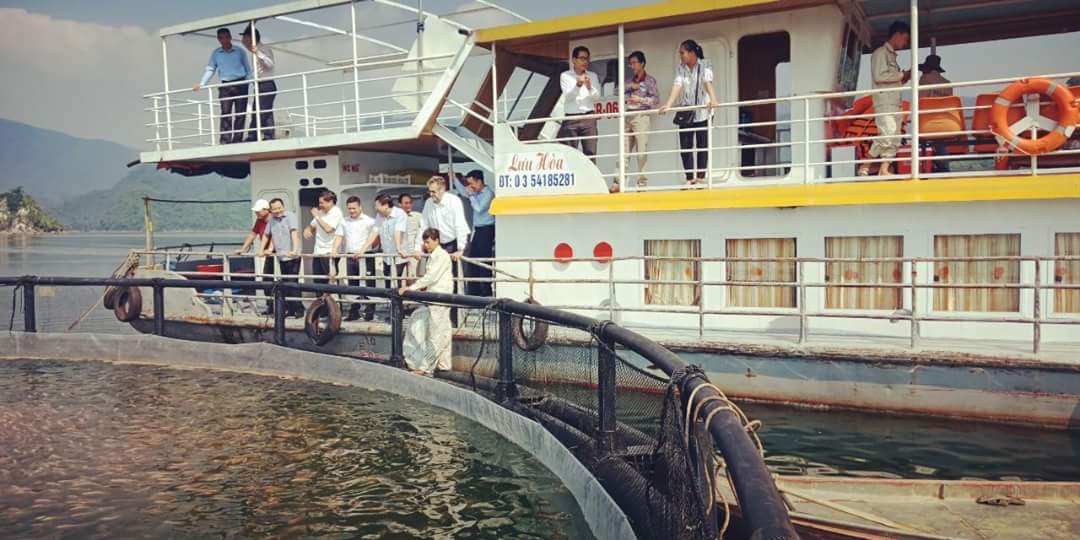Lãnh đạo Tập đoàn Ma Vit (đối tác của Công ty TNHH một thành viên Dịch vụ và công nghệ nuôi trồng thuỷ sản) nghiệm thu lồng cá được lắp đặt trên Hồ thuỷ điện Hoà bình