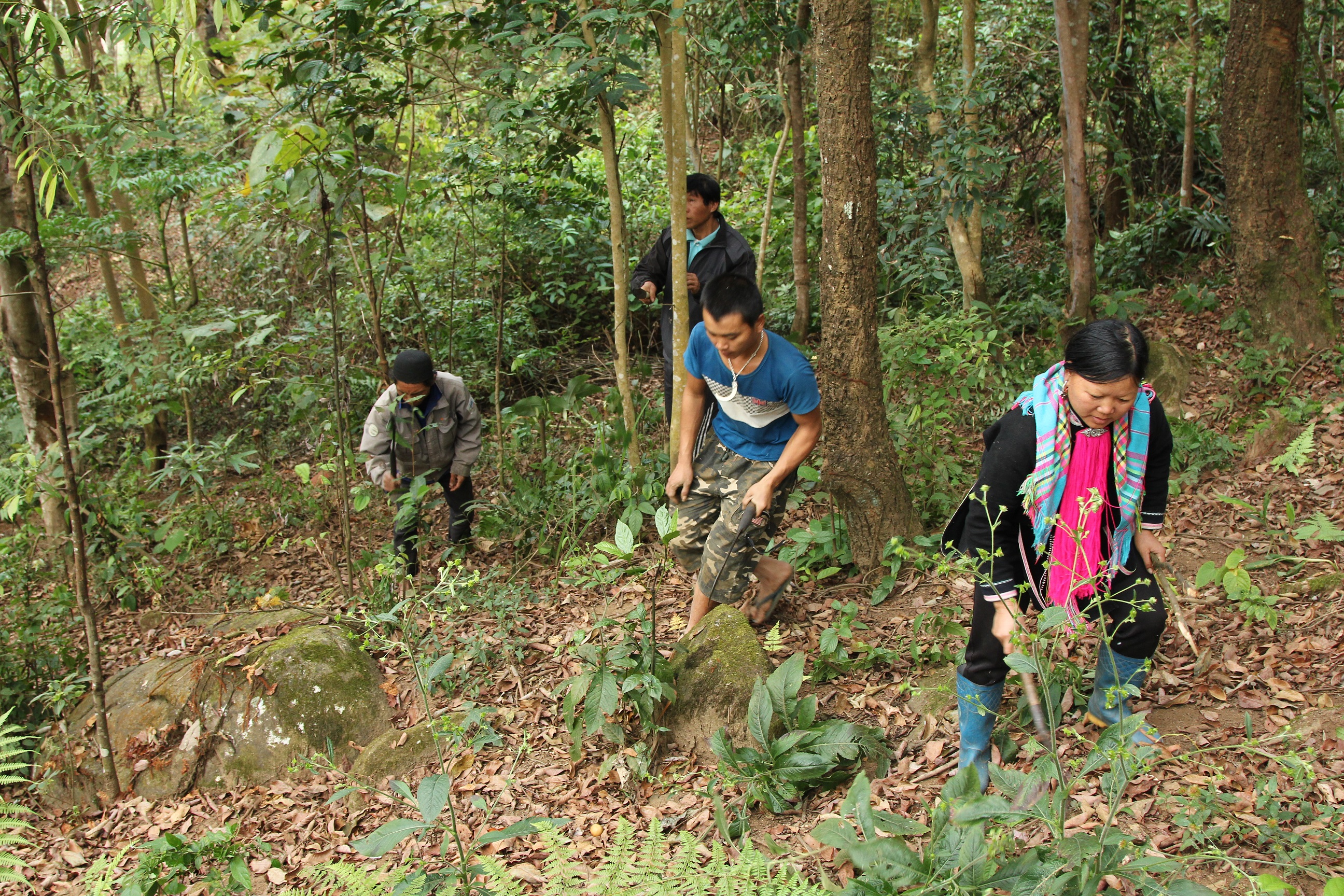 Ý thức bảo vệ rừng của người dân đã từng bước được nâng cao từ chính hiệu quả kinh tế từ rừng mang lại