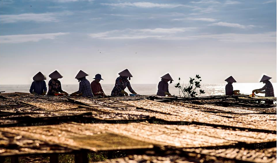 Những người phụ nữ đang phơi cá khô – đặc sản của Phước Hải (Ảnh tư liệu)
