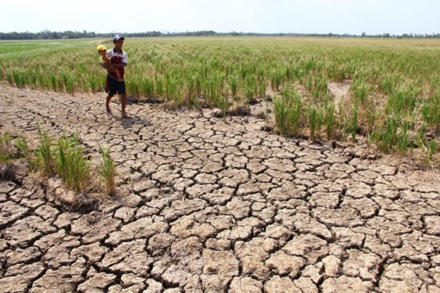 Hạn mặn vẫn tiếp tục là thách thức lớn đối với hàng chục triệu người dân ĐBSCL.