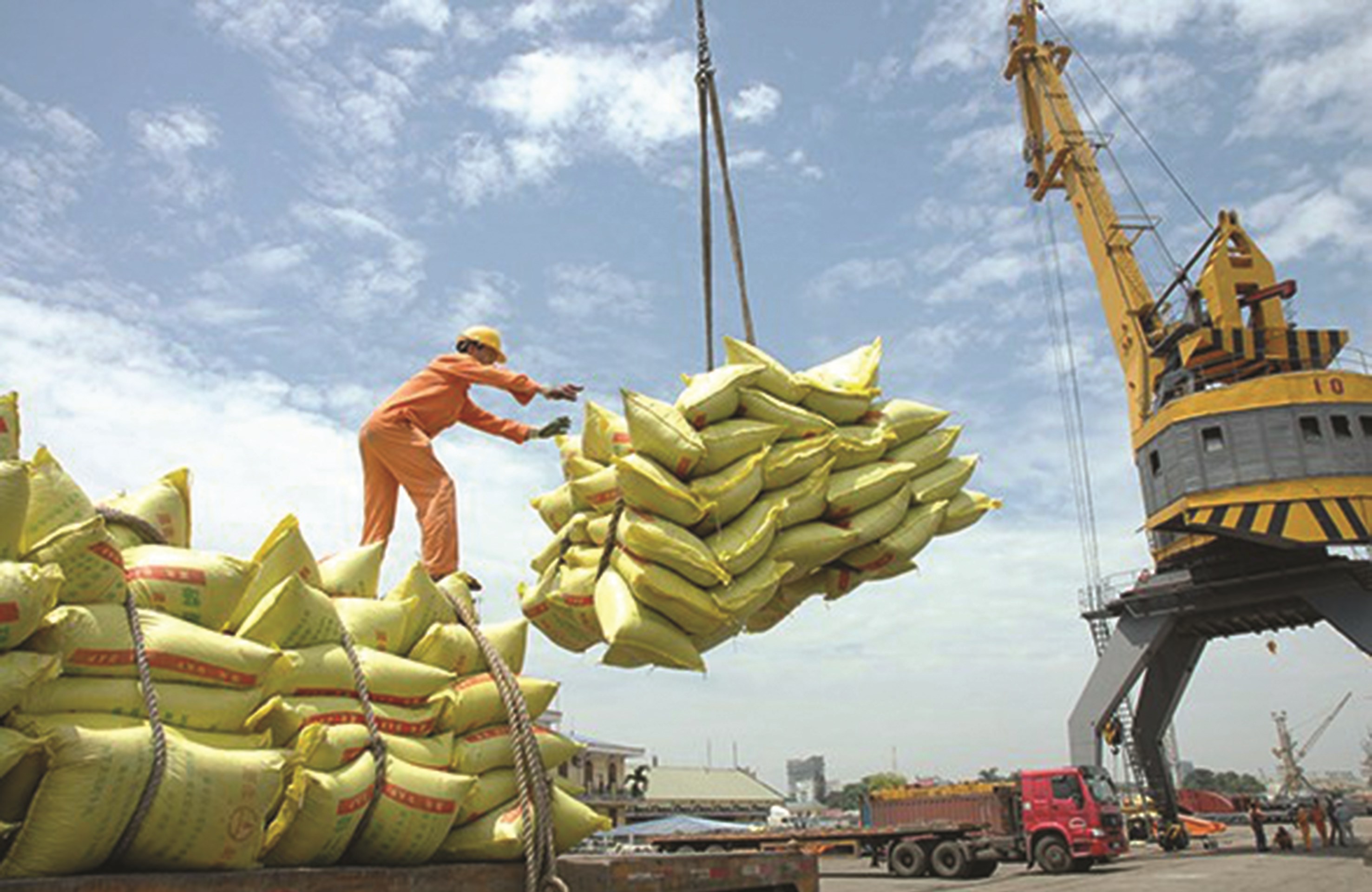 Xuất khẩu gạo của Việt Nam đang tăng mạnh cả về giá trị và khối lượng.