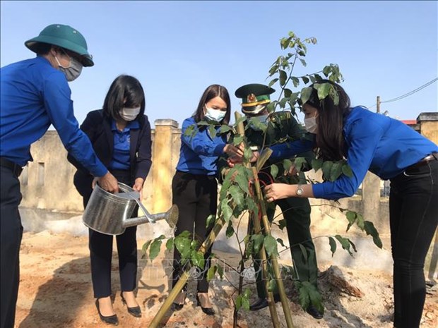 Thanh niên Quảng Trị hưởng ứng Tết trồng cây. Ảnh: Hồ Cầu-TTXVN