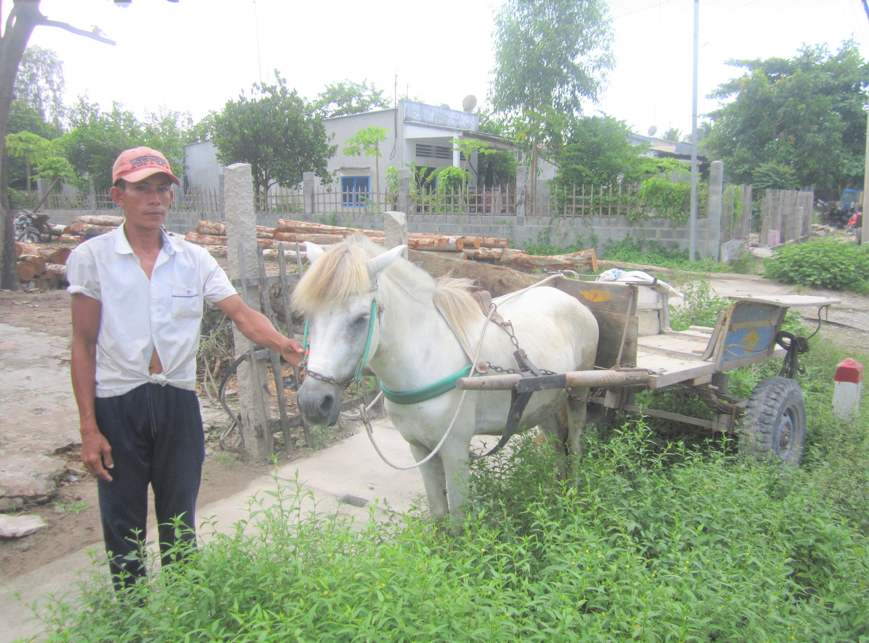 Anh Chau Tếch, một nài ngựa chợ xã Vĩnh Trung