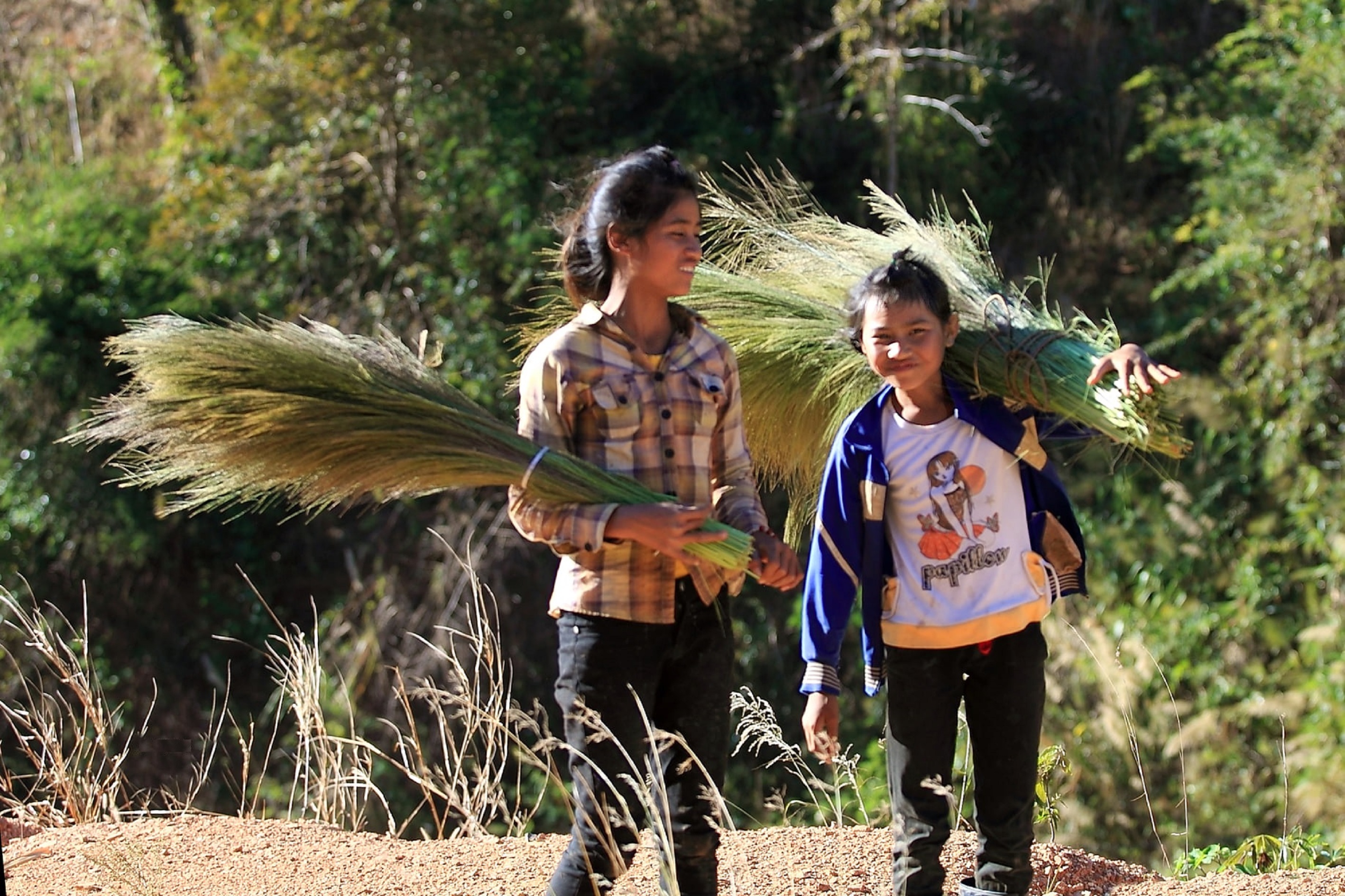 Ngoài những ngày đi học, nhiều trẻ em ở các buôn làng cũng theo người lớn lên rừng hái chít đót