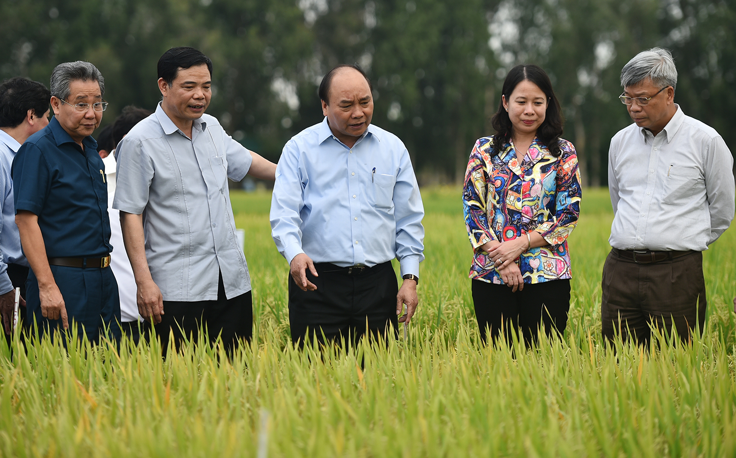 Ngày 14/3/2017, Thủ tướng Nguyễn Xuân Phúc thăm các cánh đồng mẫu trồng các giống lúa mới của Trung tâm Nghiên cứu nông nghiệp Định Thành, Tập đoàn Lộc Trời tại An Giang. - Ảnh: VGP