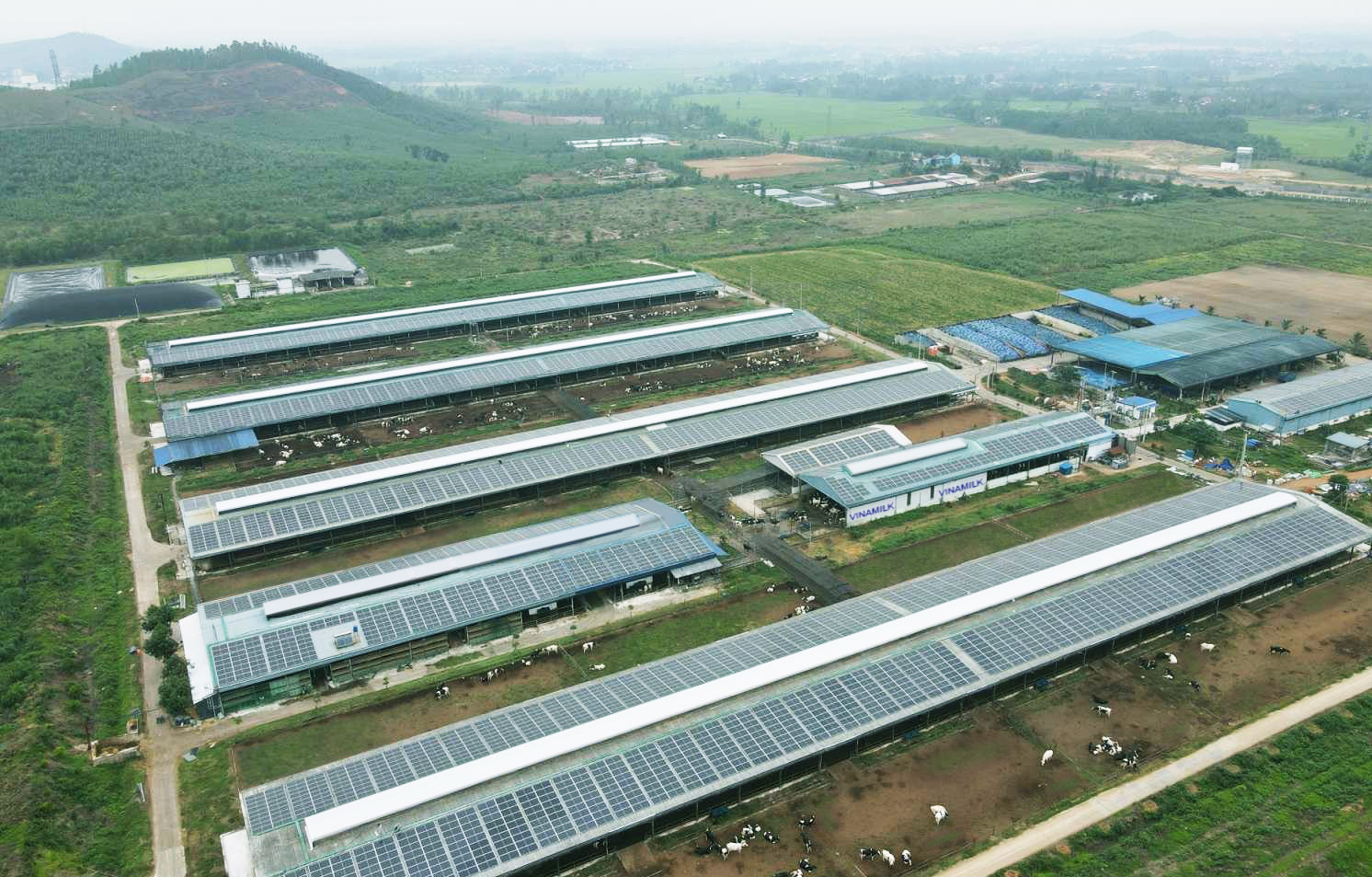 Năng lượng mặt trời đã được đưa vào sử dụng tại trang trại Vinamilk Bình Định từ đầu năm 2021