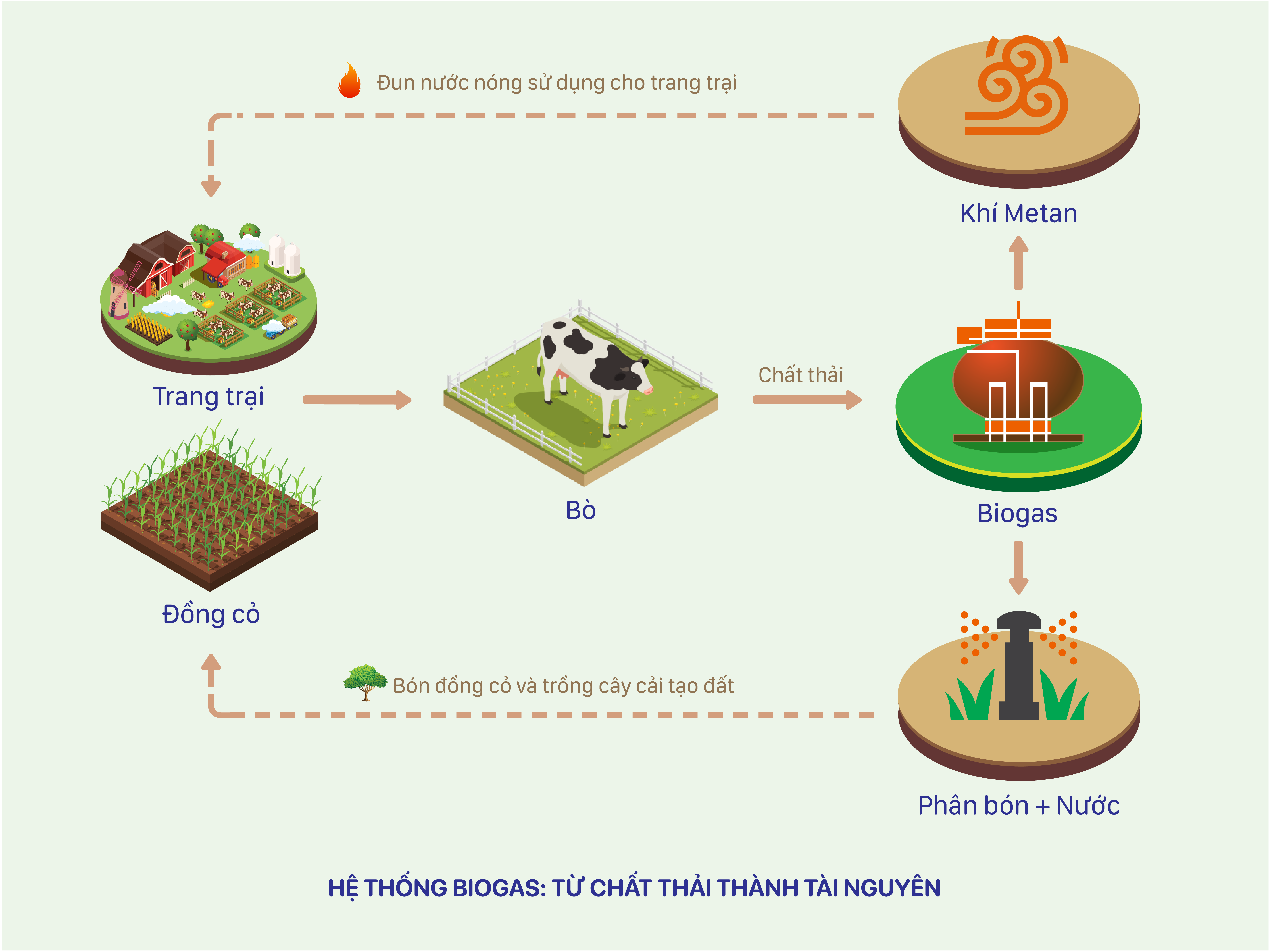 Sơ đồ về hệ thống Biogas tại các trang trại bò sữa Vinamilk