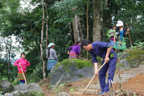Đồng bào Mông ở Lào Cai trồng cây mới để rừng mãi xanh. Ảnh internet