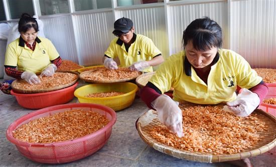 Sản phẩm tôm khô của cơ sở Tôm khô Tiến Hải, xã Đông Hải, huyện Duyên Hải - sản phẩm OCOP đạt 3 sao năm 2019. Ảnh: travinh.gov.vn