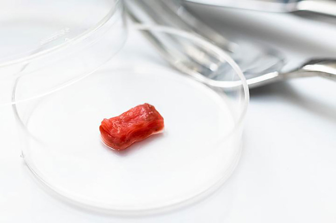 Trong tương lai, những tín đồ ẩm thực có thể thưởng thức thịt bít-tết nhân tạo Ảnh: Trường ĐH Tokyo