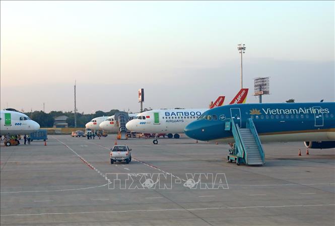 Máy bay của các hãng hàng không Việt Nam tại sân bay Nội Bài. Ảnh: Ngọc Hà/TTXVN