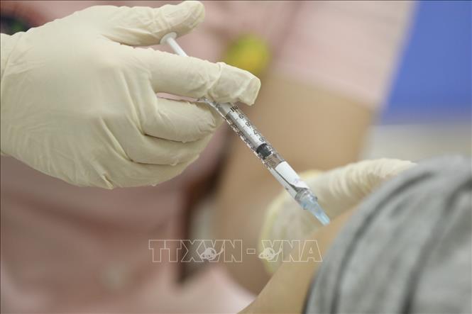 Hiện tỉnh Thanh Hóa đã rà soát được 2,5 triệu người thuộc 10 nhóm ưu tiên tiêm vaccine phòng COVID-19 miễn phí. Ảnh minh họa: Minh Quyết/TTXVN