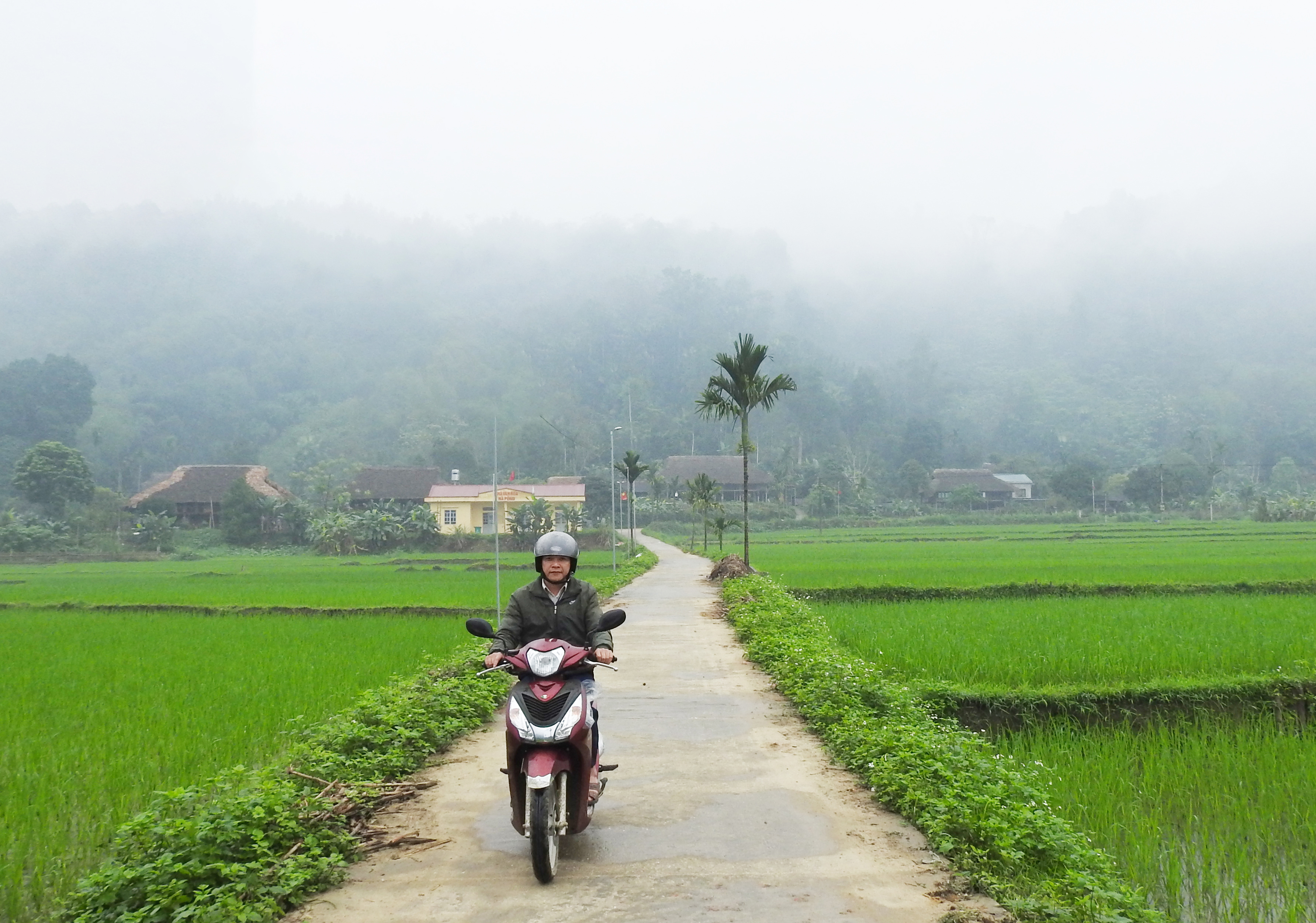 Con đường bê tông sạch đẹp chạy dọc cánh đồng lúa tại xã Khai Trung