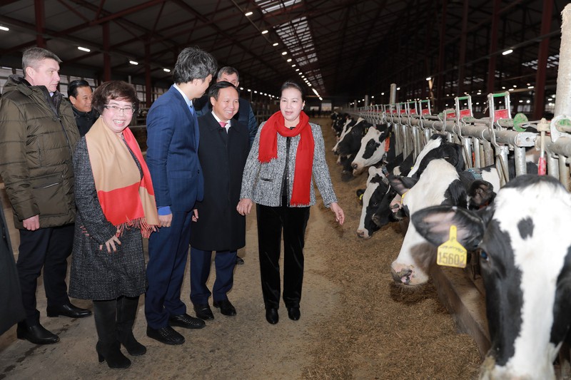 Trong chuyến thăm trang trại bò sữa TH ở quận Volokolamsk, tỉnh Moscow (Nga), nguyên Chủ tịch Quốc hội Nguyễn Thị Kim Ngân đã đánh giá và khen ngợi bà Thái Hương là “người phụ nữ nhỏ bé nhưng nghị lực rất to lớn”.