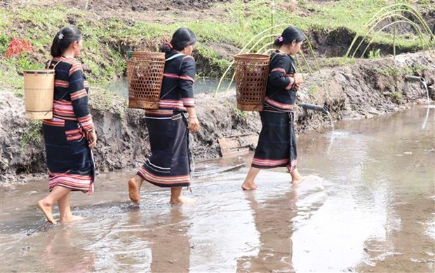 Phụ nữ trong làng gùi nước từ Giọt nước về nhà Rông của làng để dâng lên thần linh. Ảnh: Hồng Điệp - TTXVN