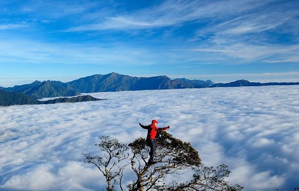 Biển mây bồng bềnh quanh những triền núi trên đỉnh Tà Xùa