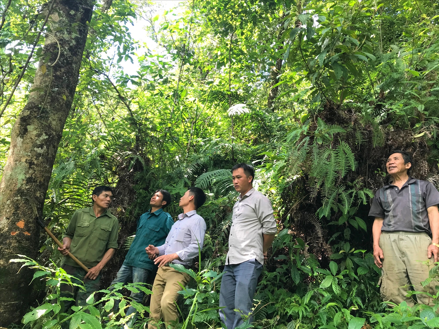Tổ kiểm tra chuyên trách bảo vệ rừng của bản Thẳm, xã Bản Hon, huyện Tam Đường (Lai Châu) tuần tra bảo vệ rừng
