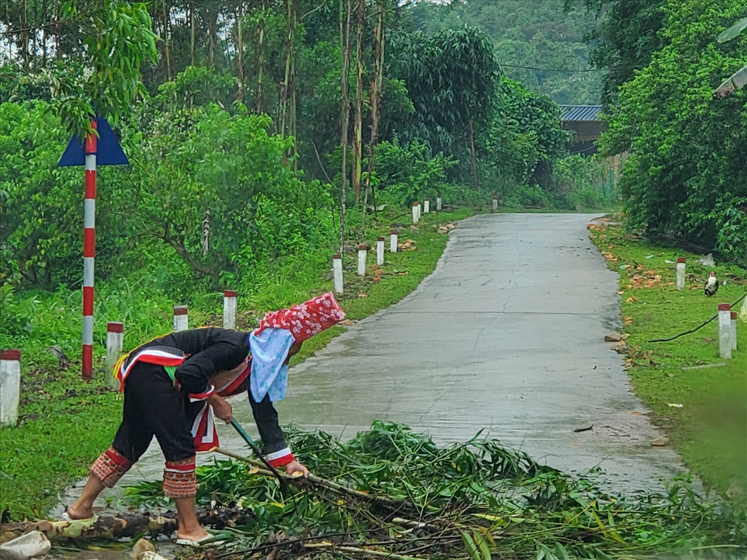 Người dân thôn Khe Tiền, xã Đồng Văn (huyện Bình Liêu) dọn dẹp cây đổ chắn ngang đường, bảo đảm giao thông thông suốt đến điểm bầu cử
