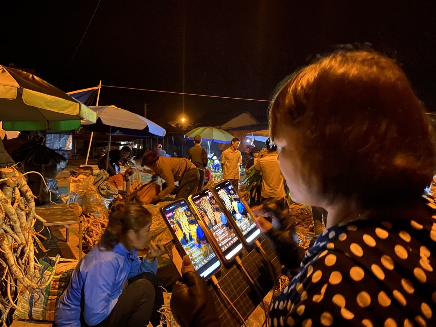 Livestream bán hàng thảo dược và hoa lan tại chợ đêm Tủa Chùa (Điện Biên)
